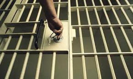 Kropsskannere skal sikre fængsler mod mobiltelefoner. Foto:Freeimages
