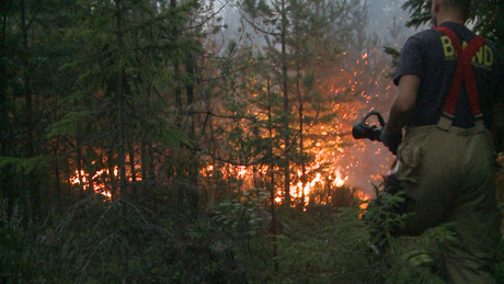 Släckningarbetet i skogen (Foto:MSB)
