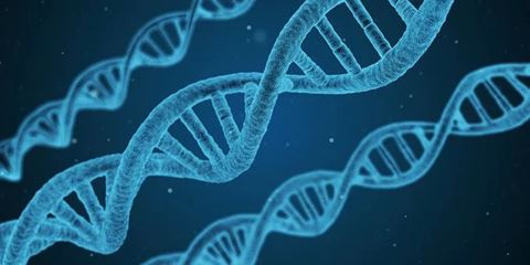 Resultatet af DNA-undersøgelser pegede på, at to mænd på 23 og 27 år havde haft fingrene i flere poser, der var viklet uden om kokainen, og kort efter blev de to mænd anholdt og varetægtsfængslet.