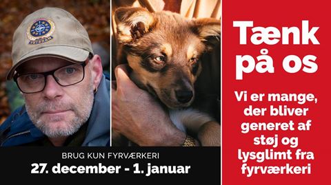 Politiet bruger dette billede af en krigsveteran og en hund i forbindelse med advarsler om nytårskrudt.