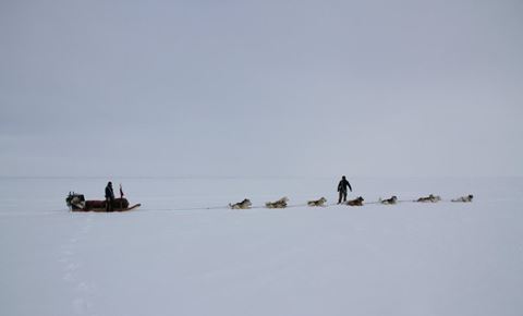 Siriuspatruljen