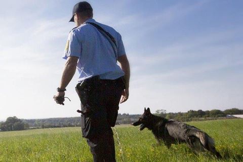 Efter standsningen af bilen løb de fem mænd fra stedet, men blev alle fundet af politiets hundepatruljer og anholdt. 